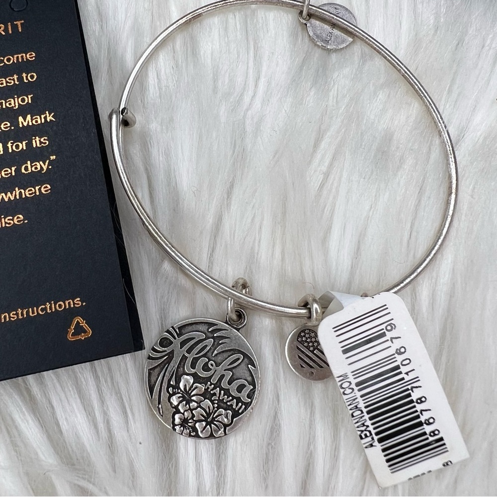 Alex and Ani Rafaelian Silver Aloha Hawaii Charm Bangle Bracelet - Picture 3 of 4